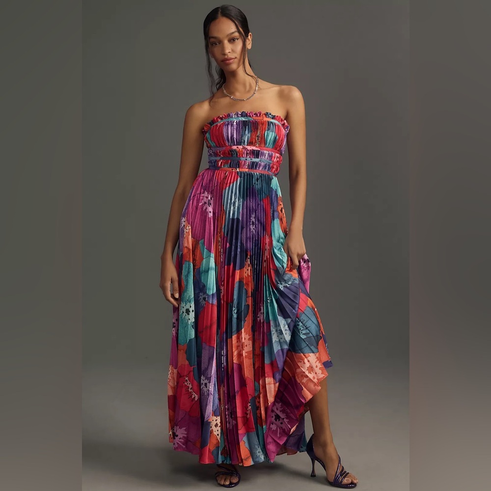 Hutch Sabine Strapless Pleated Maxi Dress